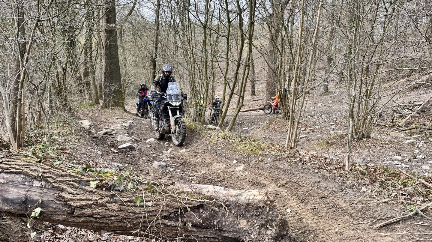 AllRoad -Niv 2- Offroad Training Bilstain