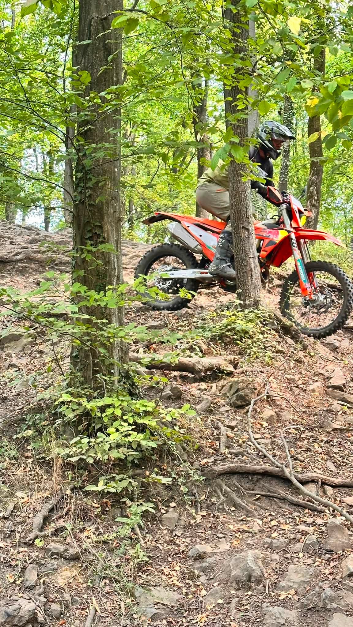 Enduro - Niv 1 - Bilstain opstapper
