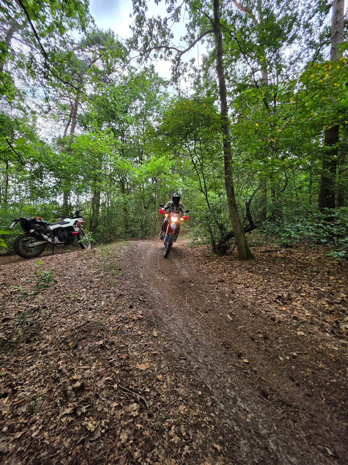 Start2Enduro - Niv 1 - Enduro Wandeling met huurmotor