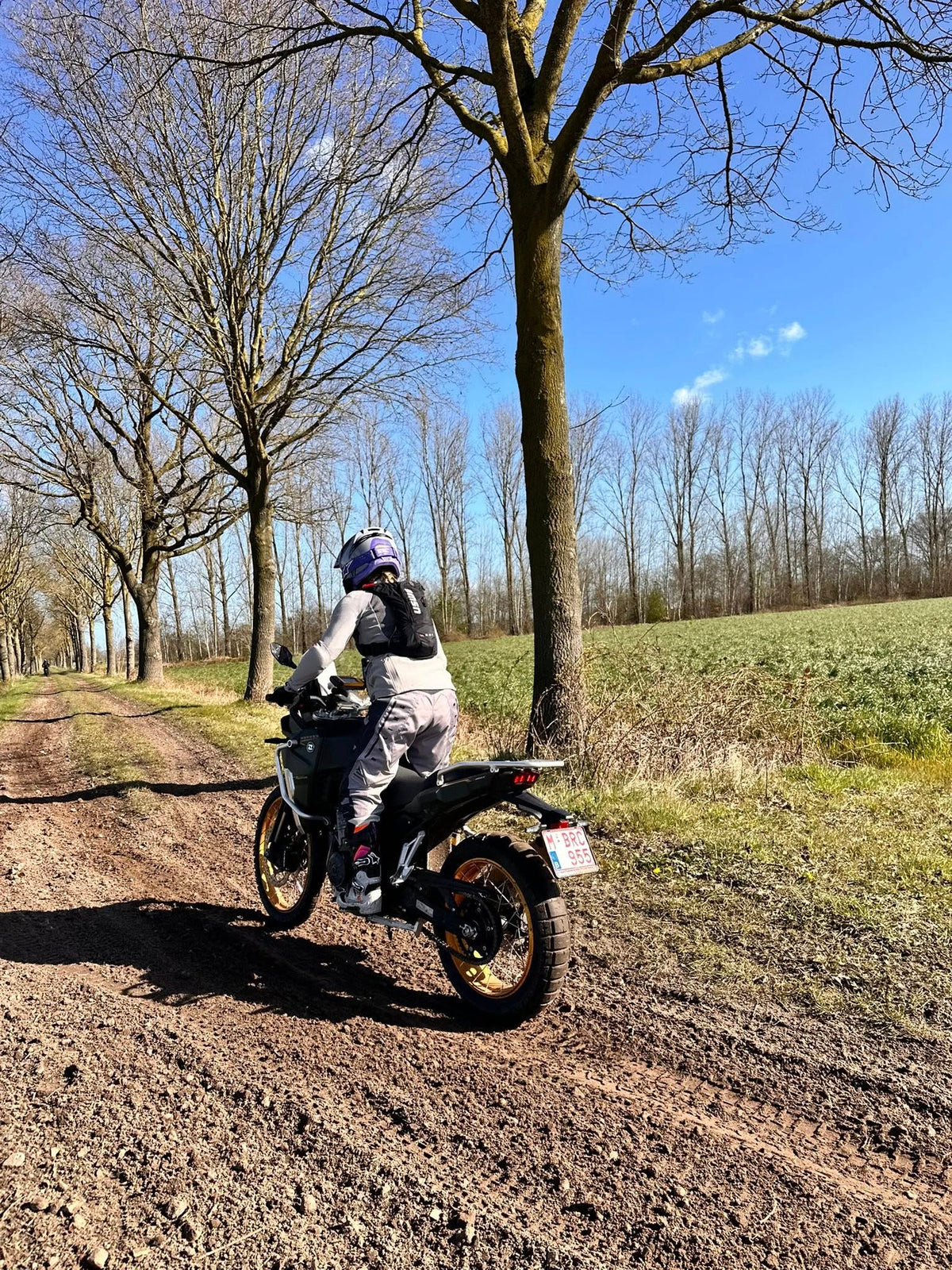 AllRoad - Niv All - GOTR